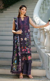 Asifa and Nabeel | Meraki Winter 25 | Winter Rose