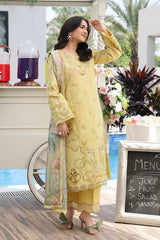 Rangrasiya | Florence Luxury Festive Edit 26 | Yumna