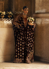 Aik Atelier | Dastoor Velvet 24 | DASTOOR - LOOK 03