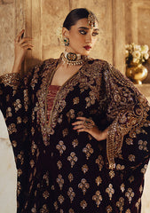 Aik Atelier | Dastoor Velvet 24 | DASTOOR - LOOK 03