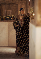 Aik Atelier | Dastoor Velvet 24 | DASTOOR - LOOK 03