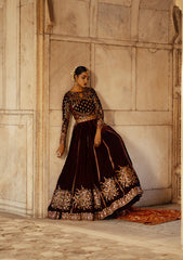 Aik Atelier | Dastoor Velvet 24 | DASTOOR - LOOK 06