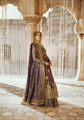 Aik Atelier | Dastoor Velvet 24 | DASTOOR - LOOK 10