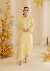 Aik Atelier | Lawn 26 | Look B2604A