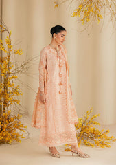 Aik Atelier | Lawn 26 | Look B2604B