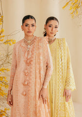 Aik Atelier | Lawn 26 | Look B2604B