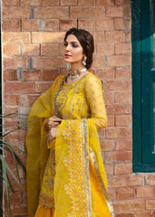 Akbar Aslam | Wedding Formals | CAILIN