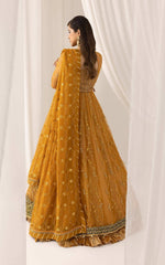 Asifa and Nabeel | Barasti Festive 23 | Chashni (ANB-03)