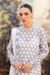 Jamdani-03 - Bareeze 2-Piece Khaddi Net