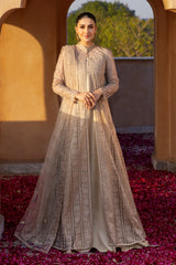 Jamdani-05 - Bareeze 2-Piece Net