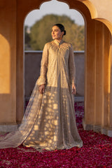 Jamdani-05 - Bareeze 2-Piece Net