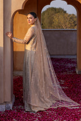 Jamdani-05 - Bareeze 2-Piece Net