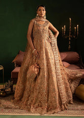 Diara Couture | Onora Wedding Festive | AYLA - WC-2-06