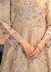 Diara Couture | Tabeer Formals | POMT-01-08