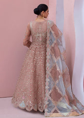 Diara Couture | Tabeer Formals | SHAHBANU - DF-13