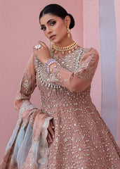 Diara Couture | Tabeer Formals | SHAHBANU - DF-13
