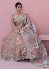 Diara Couture | Tabeer Formals | SHAHBANU - DF-13
