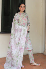 Cross Stitch | Printed Lawn | OLIVE AURA