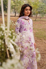 Ramsha | Dhanak Summers | DH-104