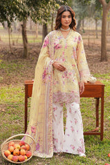 Ramsha | Dhanak Summers | DH-105