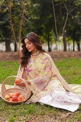Ramsha | Dhanak Summers | DH-105