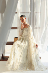 Qalamkar | Chiffon 26 | QCC-07 AMERA