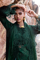 Afsanah | Lost in Waves |A-201