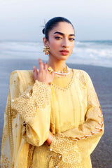 Afsanah | Lost in Waves | A-208