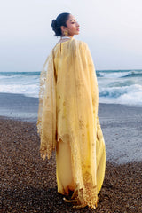 Afsanah | Lost in Waves | A-208