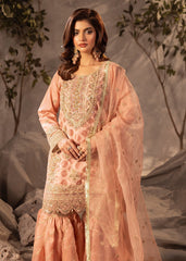Diara Couture | Tabeer Formals | US-493 - PEACH