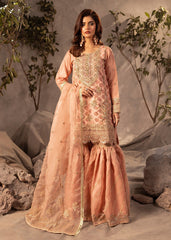 Diara Couture | Tabeer Formals | US-493 - PEACH