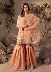 Diara Couture | Tabeer Formals | US-493 - PEACH