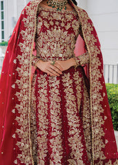 Haseens | Sifaar Formals | Shahnoor