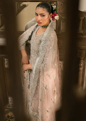 Haseens | Nawabzadi Formals | Mehves