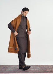 Muraqsh Brown Kashmiri Wool Shawl - Men