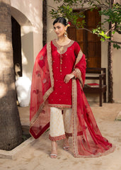 Diara Couture | Rangrez Luxe Pret | DF-46 - RED