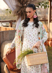 Sardinia | Festive Lawn 26 | Primrose