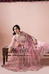 Ramsha | Rangeen Organza | PS-104