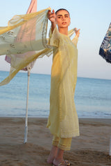Sahar | Festive Stitched Vol 2 | D14