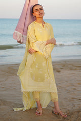 Sahar | Festive Stitched Vol 2 | D14