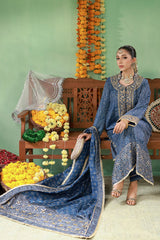 Ansab Jahangir | The Rani Edit | Zohra