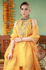 Ansab Jahangir | The Rani Edit | Arooba