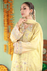 Ansab Jahangir | The Rani Edit | Sahar