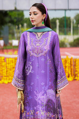 Ansab Jahangir | Digital Silk | Nehir