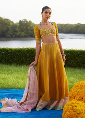 Farah Talib Aziz | Mayna Festive Luxe Pret | Zard Lengha Choli