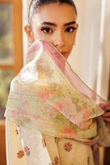 Rajbari | Amari Hybrid Jacquard Edition | Amari Jacquard - 03