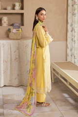 Rajbari | Nissa Chikankari Exclusive | Exclusive 03