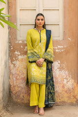 Sahar | Winter 25 | Rosemary Night