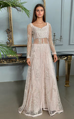 Threads and Motifs | Formal Dresses 25 | Net Embroidered Dress With Skirt