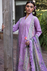 Raeesa Premium | Senorita Formals | SR-005